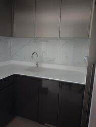 The Clement Canopy (D5), Apartment #472255311